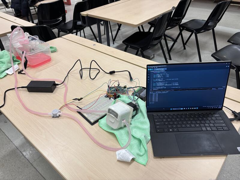 Complete cerebrovascular flow pump system